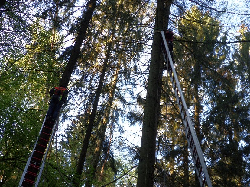 Maibaum_2016 (21)